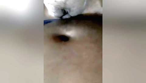 Indian sex video shows the girl getting her mouth fucked