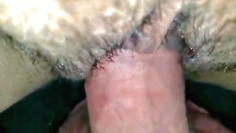 Indian hairy cunt sex video with closeup inside the vagina